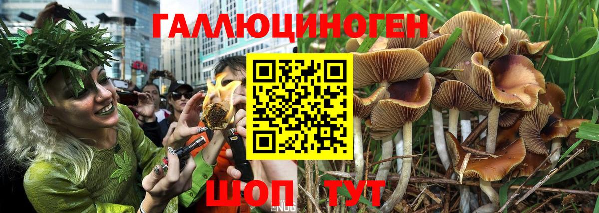 Галлюциногенные грибы Psilocybine cubensis  Вход с VPN  Новоуральск  Галлюциногенные грибы GOLDEN TEACHER 